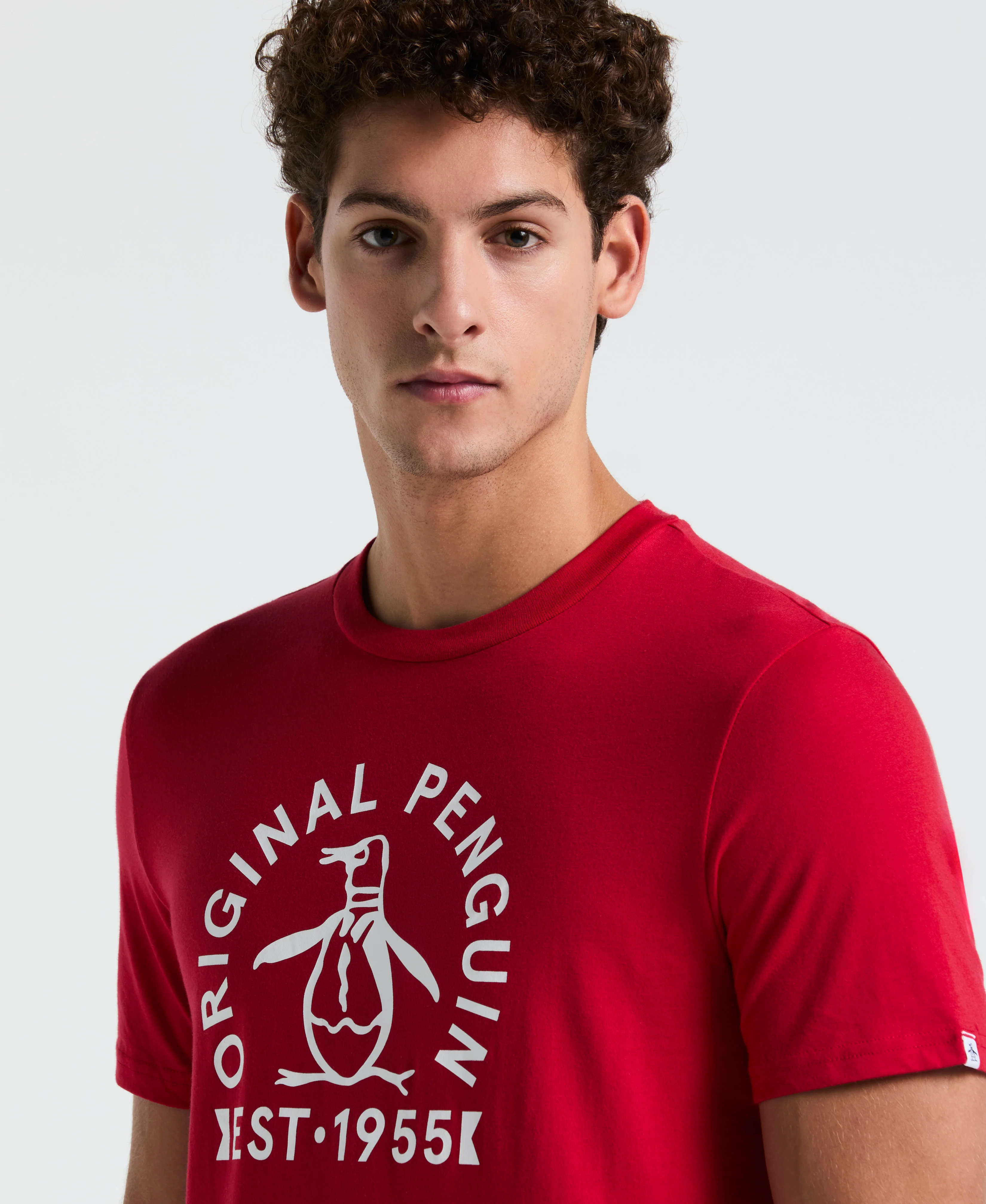 Thumbnail 19